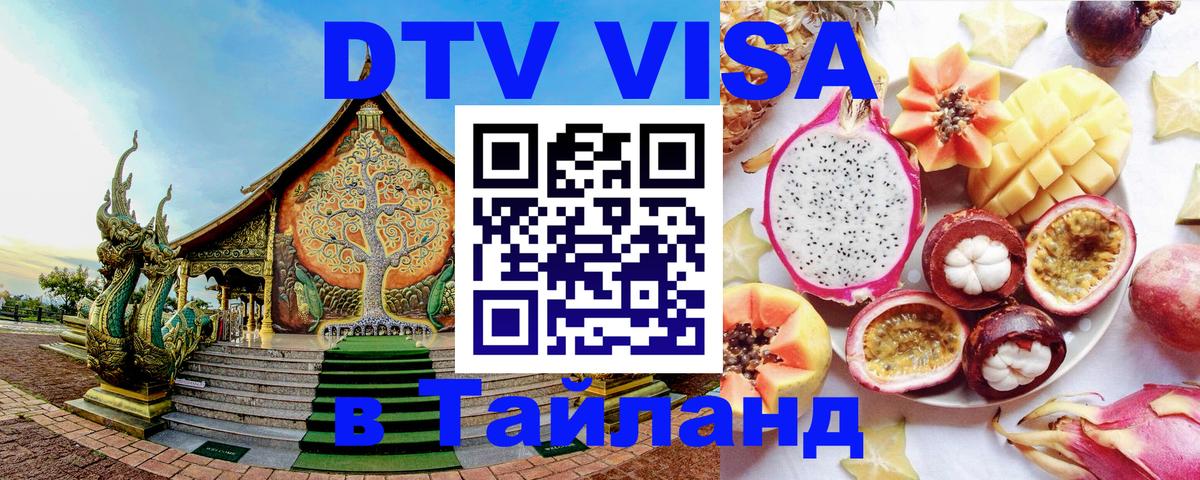 Оформление DTV визы под ключ: стоимость и тарифы, только загранпаспорт - 